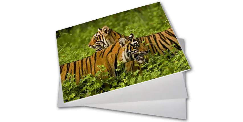 UV Printed Foam Board